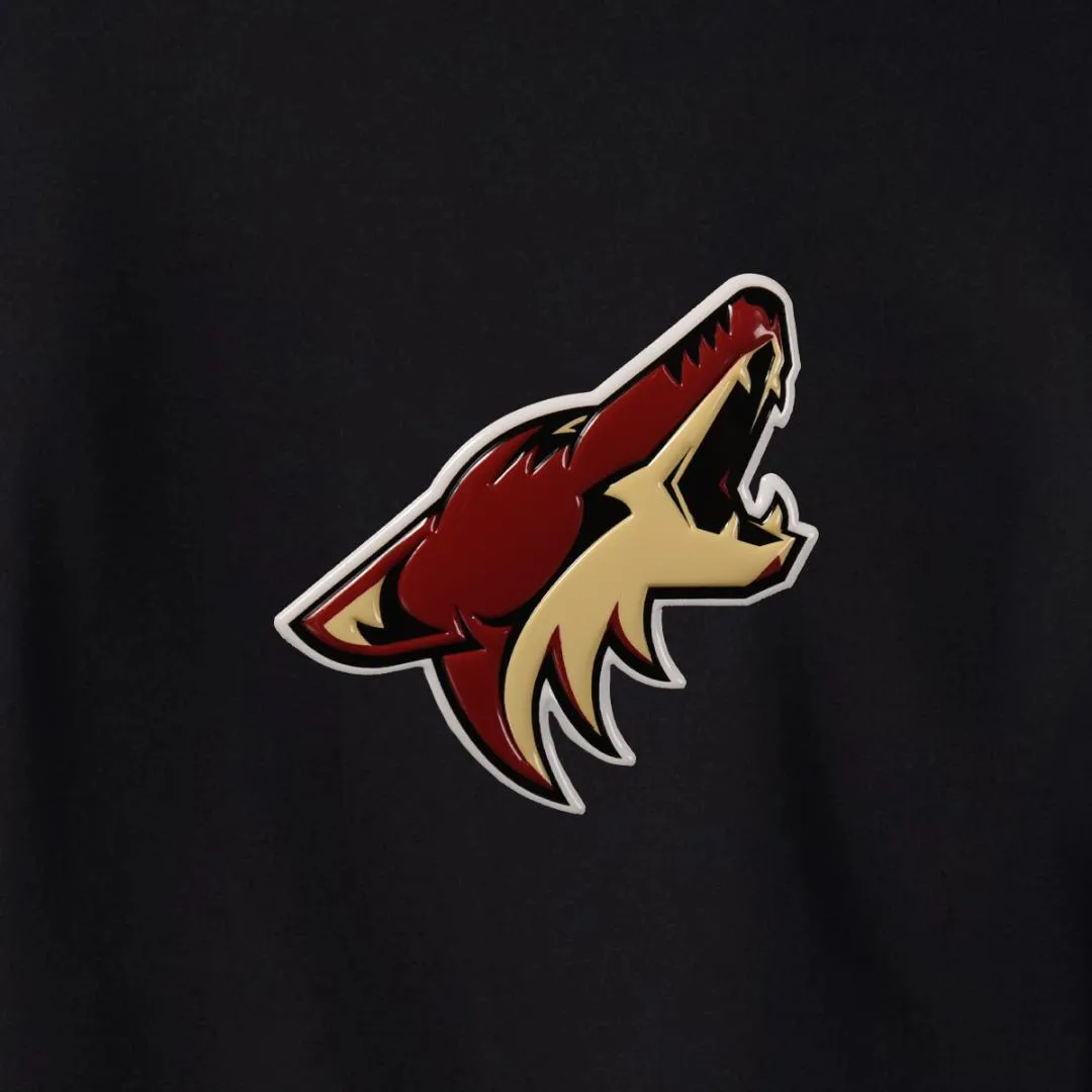 Arizona Coyotes Essence Team Text