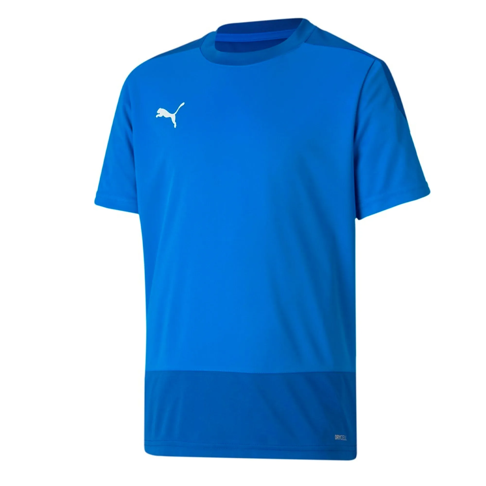 PUMA Men's Team Goal 23 Jersey Royal