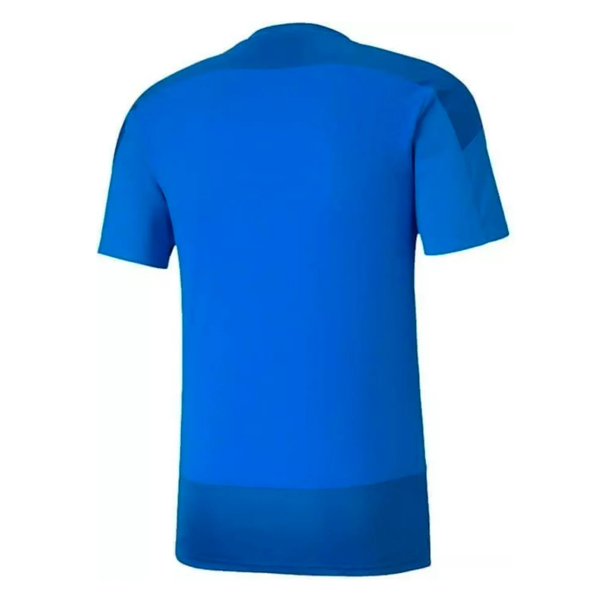 PUMA Men's Team Goal 23 Jersey Royal