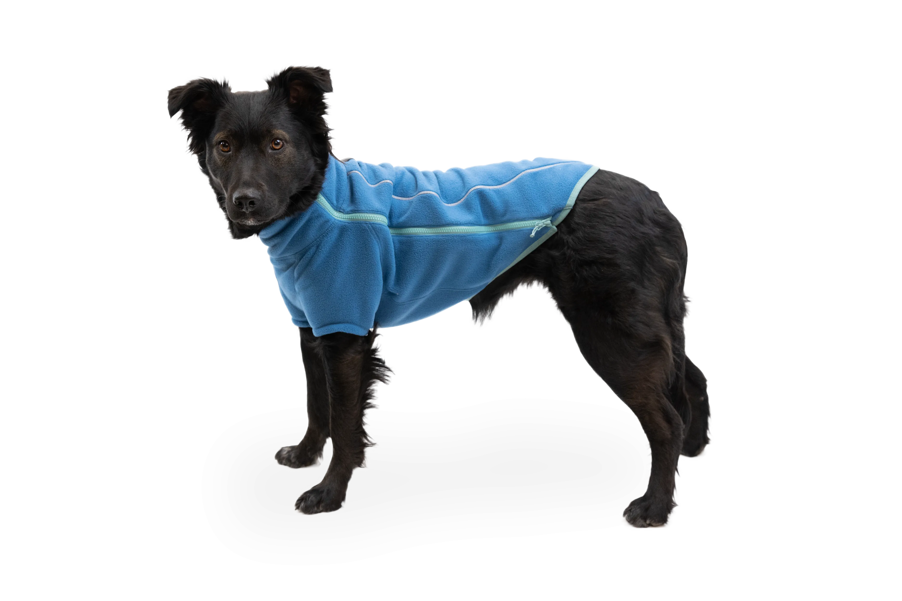 RP - Climate Changer™ Dog Fleece