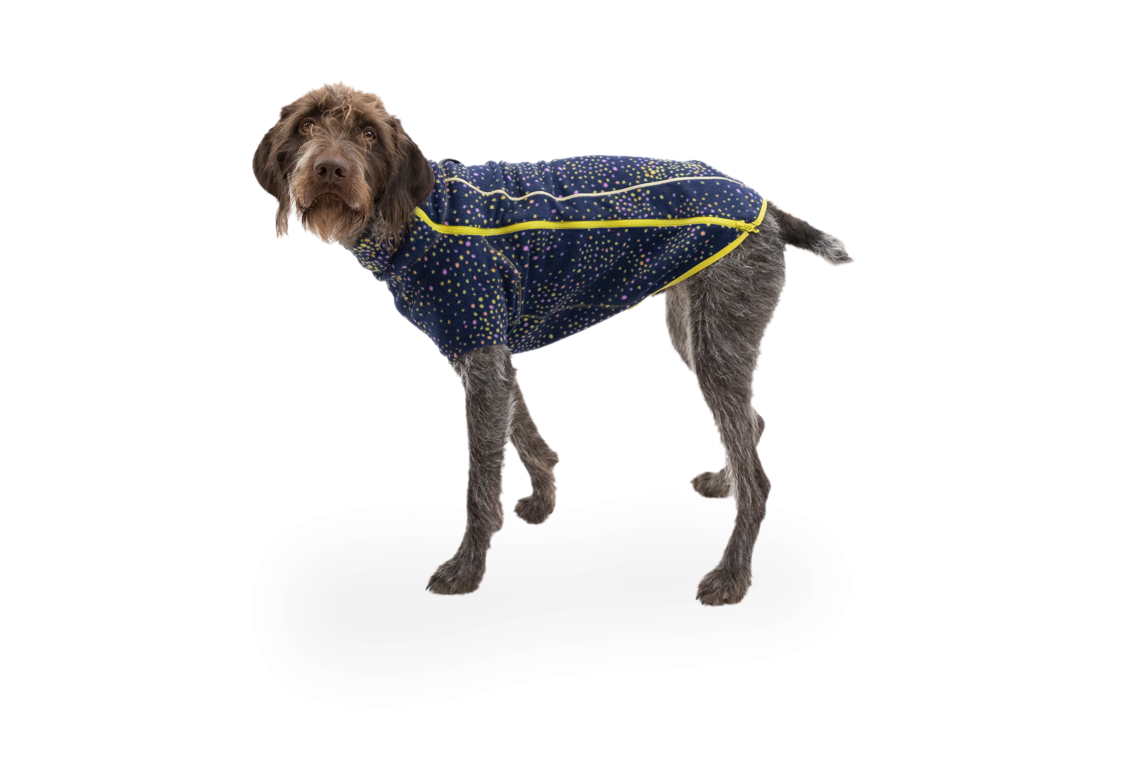 RP - Climate Changer™ Dog Fleece