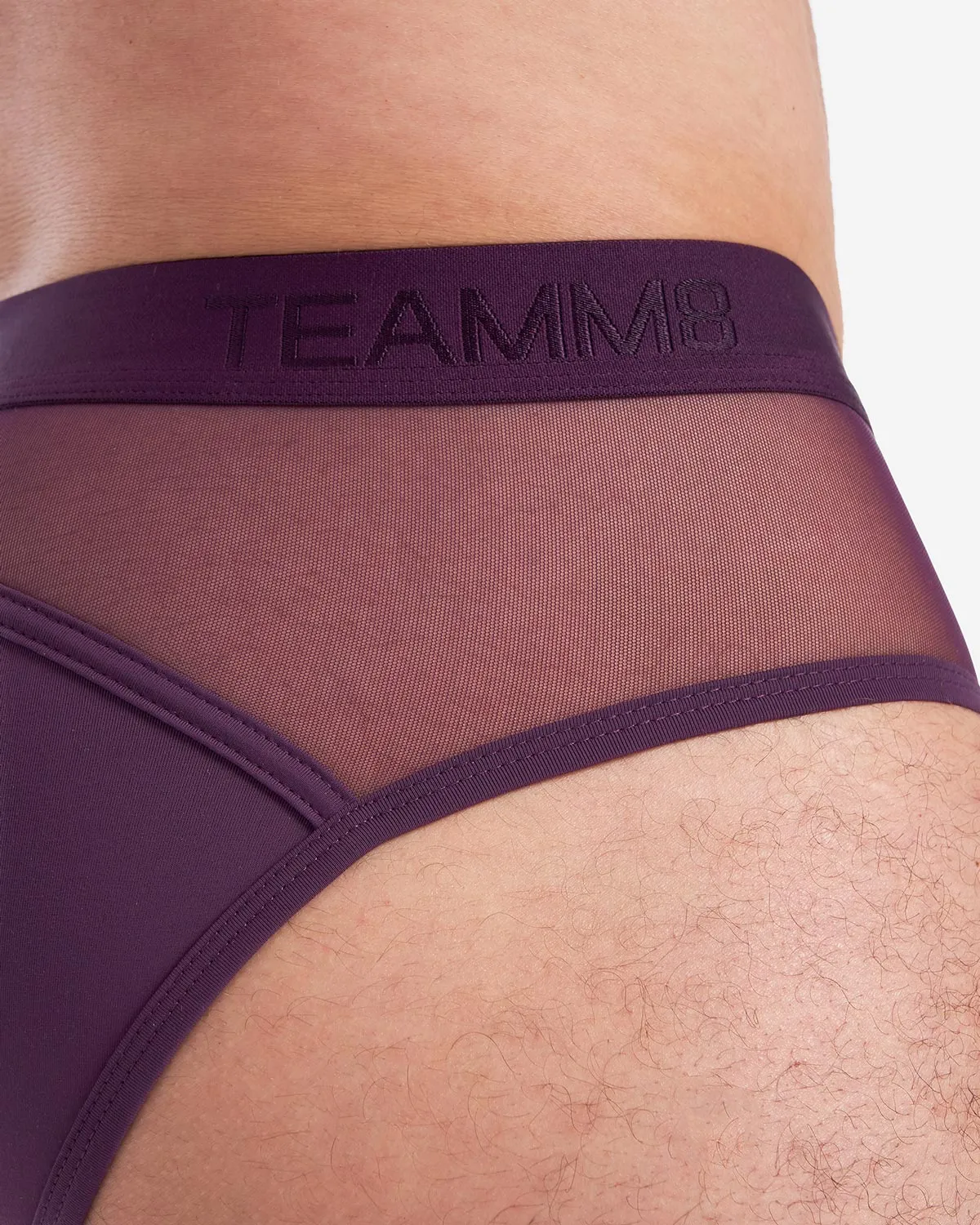 Score Sheer Brief - Plum Purple