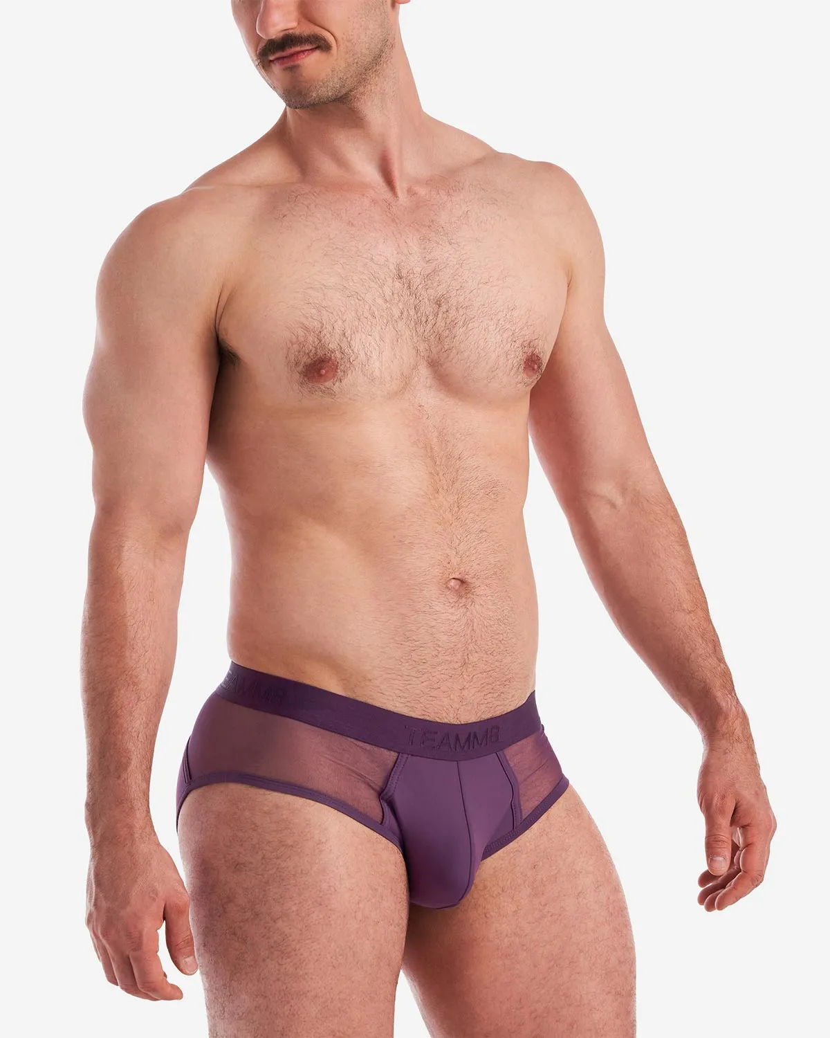 Score Sheer Brief - Plum Purple